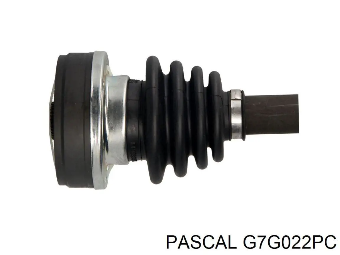 Купити G7G022PC Pascal 