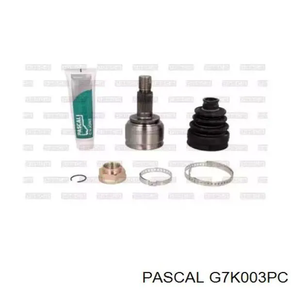 Купити G7K003PC Pascal 