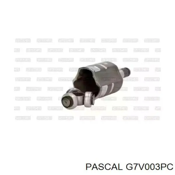 Купити G7V003PC Pascal Граната внутрішня, передня, ліва