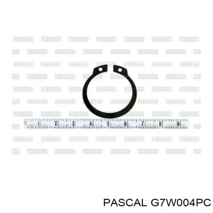 ШРКШ внутрішній, передній Pascal G7W004PC ціна, від 29.02 USD