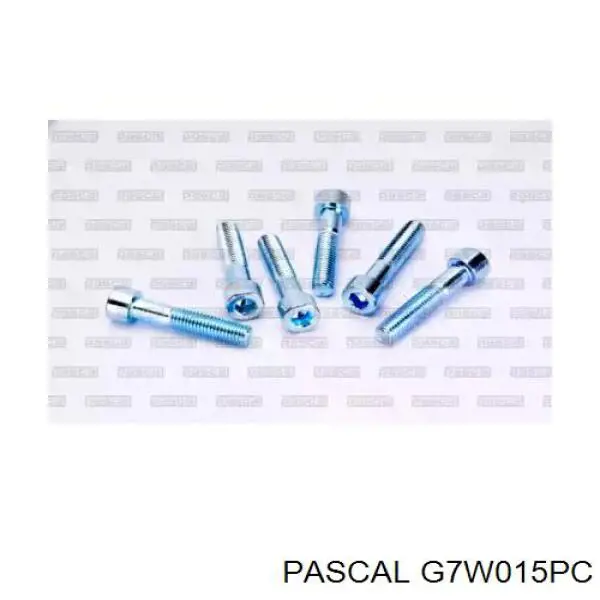 ШРКШ внутрішній, передній Pascal G7W015PC ціна, від 30.05 USD