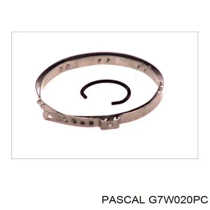Купити G7W020PC Pascal Граната внутрішня, передня, ліва