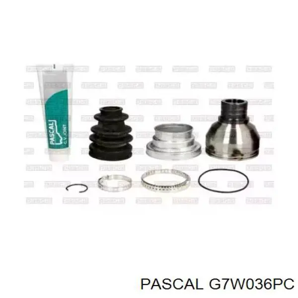 Купити G7W036PC Pascal Граната внутрішня, передня, ліва
