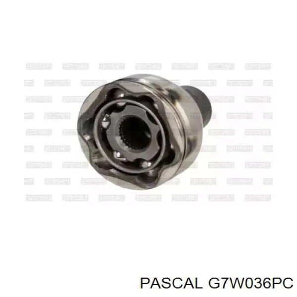 G7W036PC Pascal ШРКШ внутрішній, передній, лівий