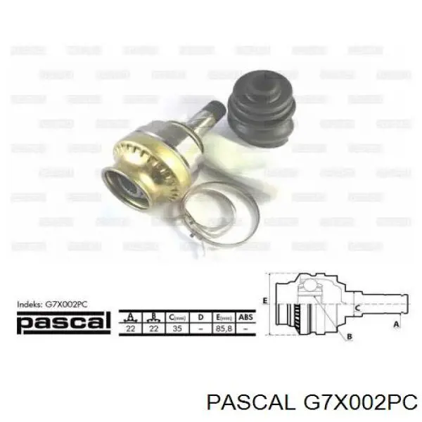 G7X002PC Pascal шрус внутрішній, передній