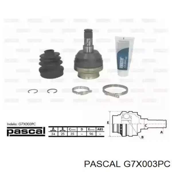 G7X003PC Pascal шрус внутрішній, передній