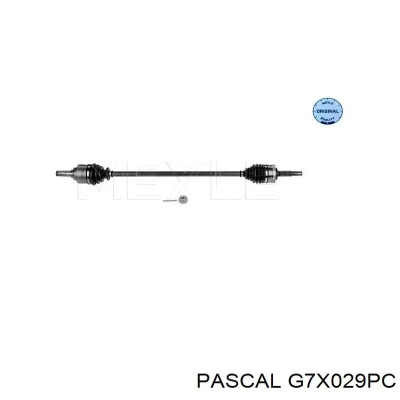 G7X029PC Pascal шрус внутрішній, передній, правий