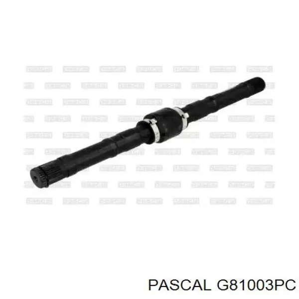  Pascal G81003PC ціна, від 25.37 USD