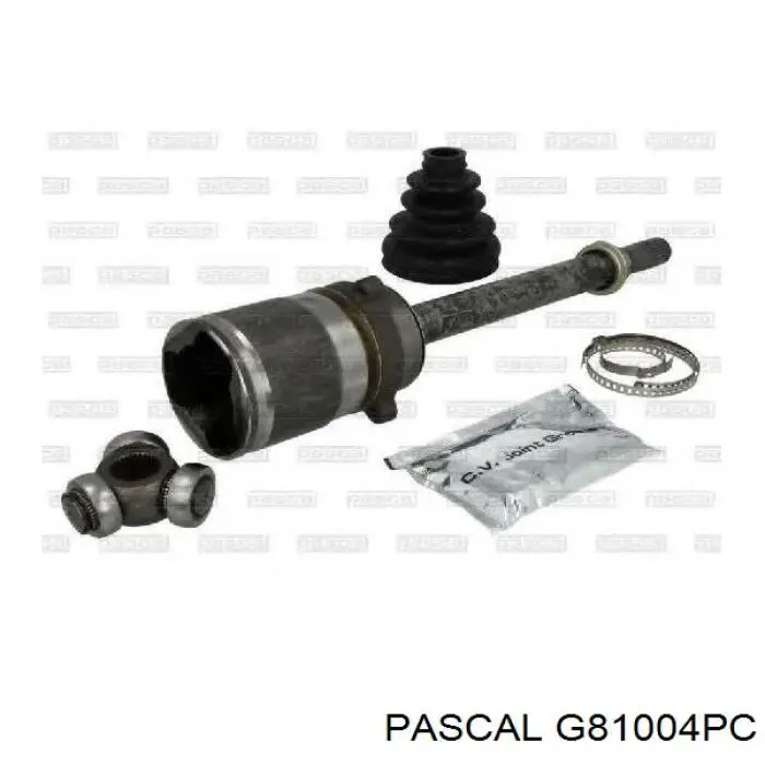  G81004PC Pascal