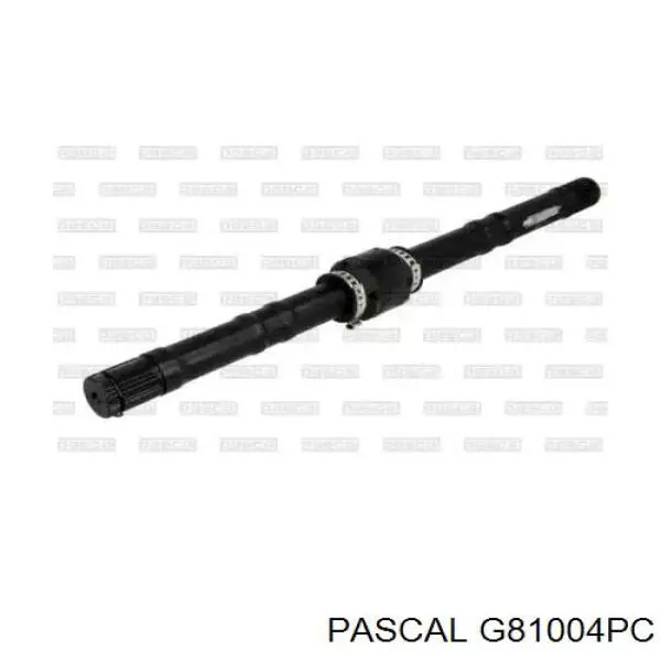  Pascal G81004PC