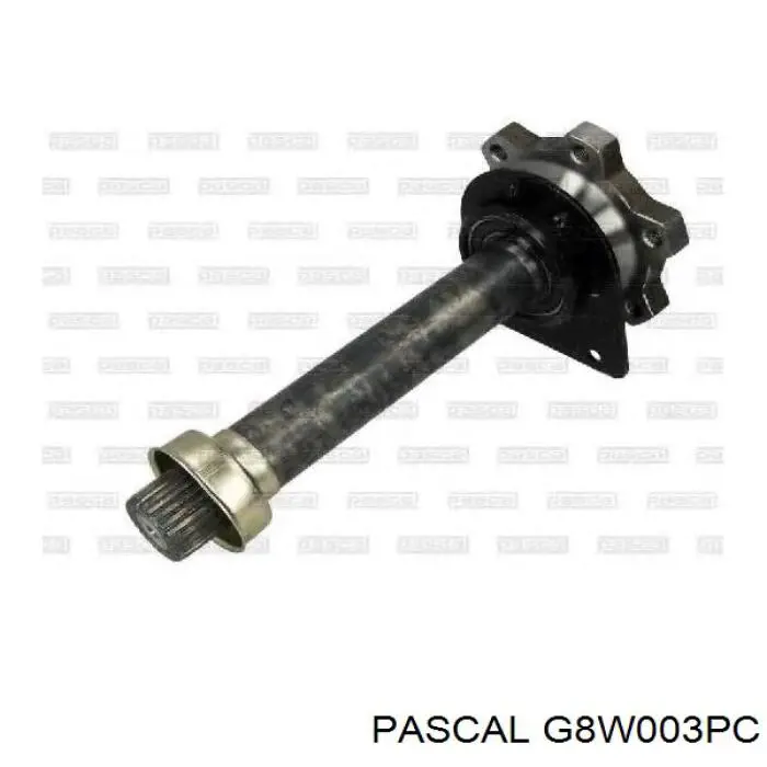 Купити G8W003PC Pascal 