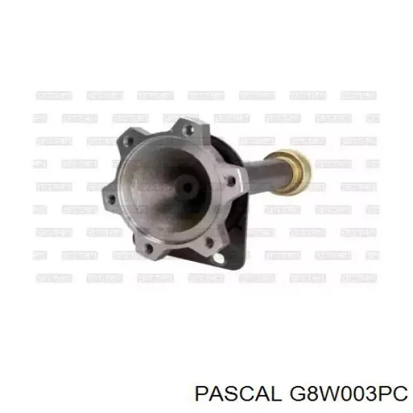  G8W003PC Pascal