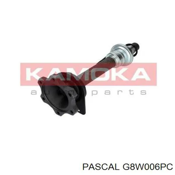 Вал приводу проміжний Pascal G8W006PC
