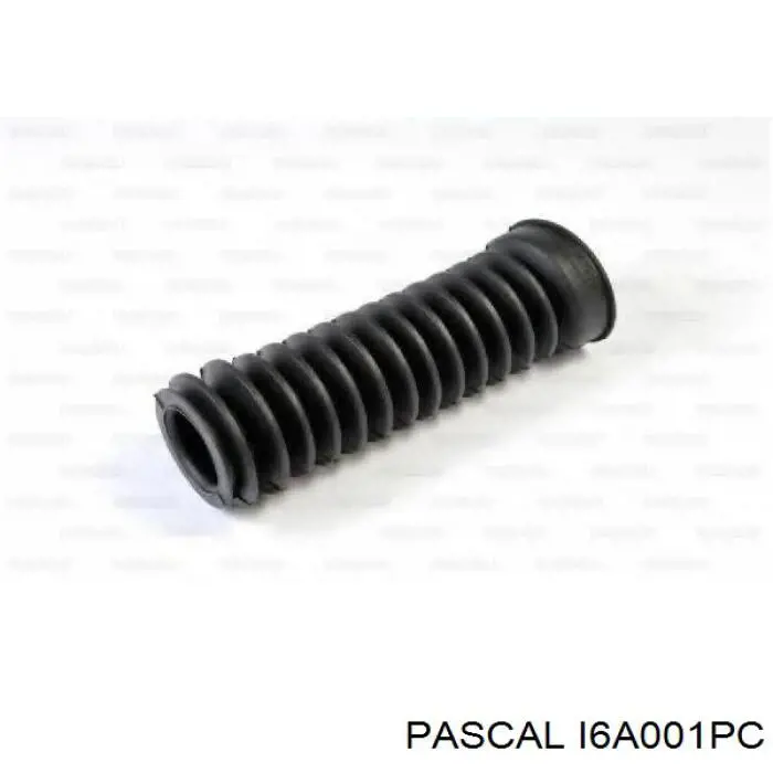 I6A001PC Pascal Пильник рульової