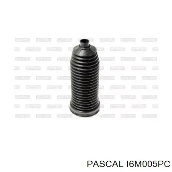 I6M005PC Pascal Пильник рульової