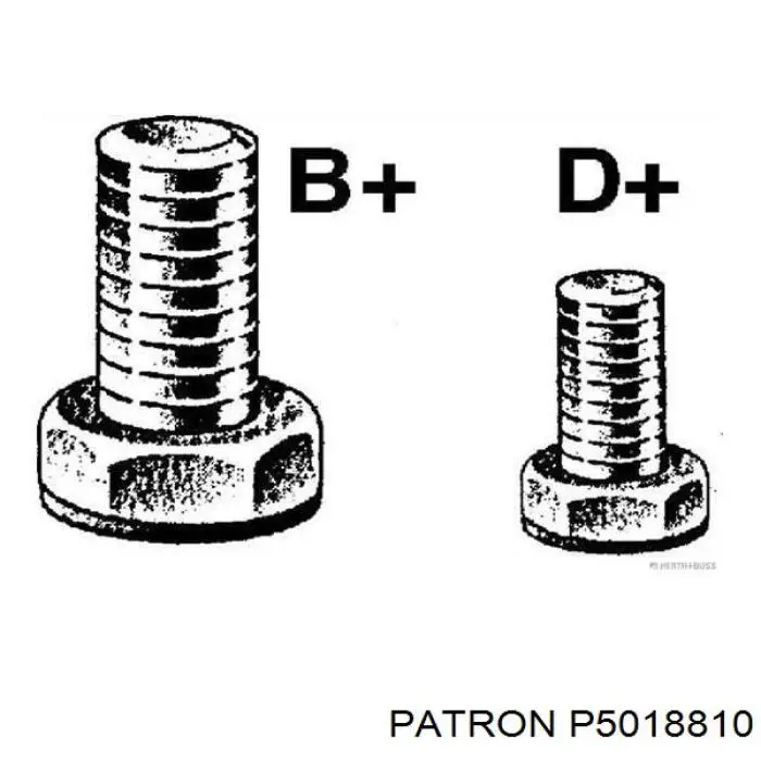 Шків генератора P5018810 Patron