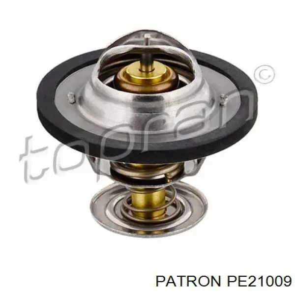 Термостат PE21009 Patron