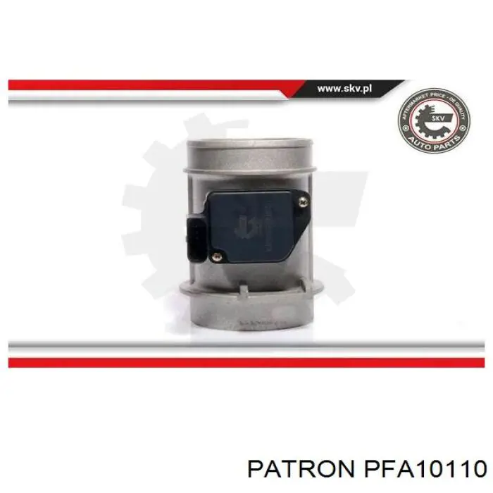 ДМРВ PFA10110 Patron