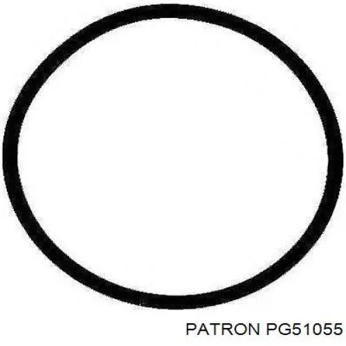 Прокладка впускного колектора Patron PG51055 ціна, від 0.90 USD