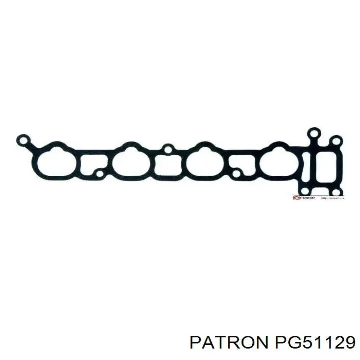 PG51129 Patron