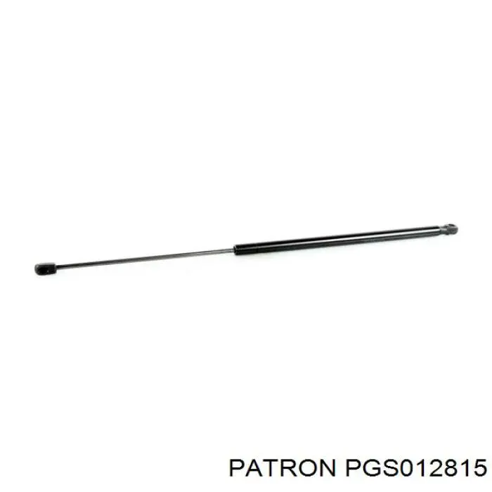 Амортизатор кришки багажника Depo/Loro/Abakus 10100409