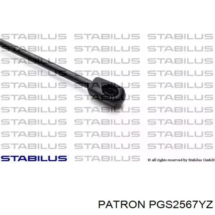 Амортизатор двері задньої Japan Parts ZSL0002 ціна, від 24.69 USD