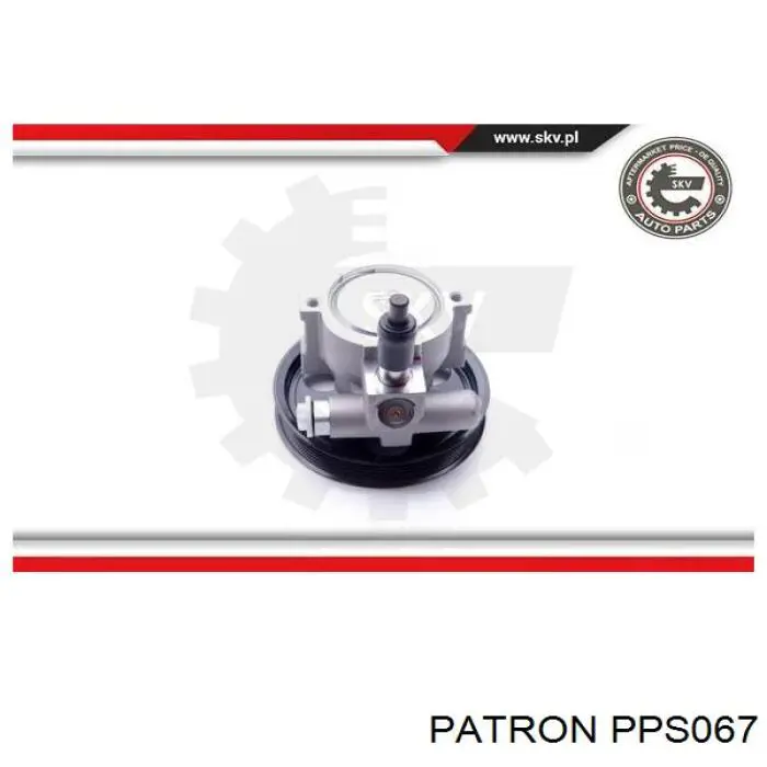 Насос ГУР S5060009 Polcar
