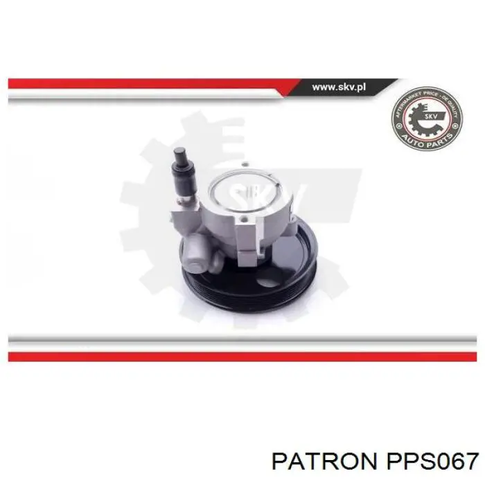 Насос ГУР S5060009 Polcar