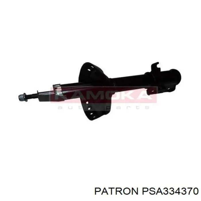 Купити RS312891 Raiso Амортизатор передній, правий