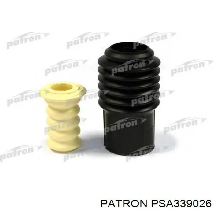 Купити RS317192 Raiso Амортизатор задній, лівий