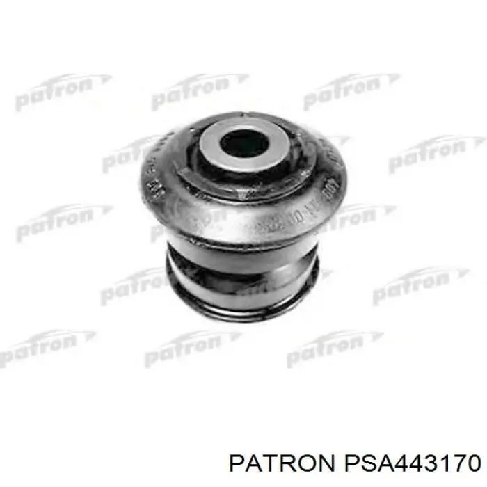 RS101496 Raiso Стійка передня