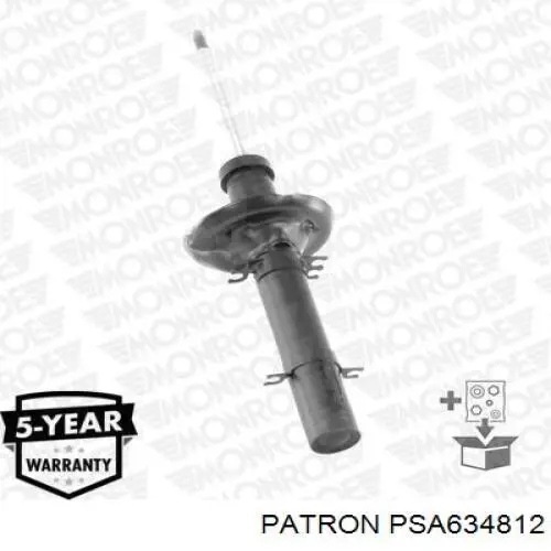 RS315087 Raiso Стійка передня