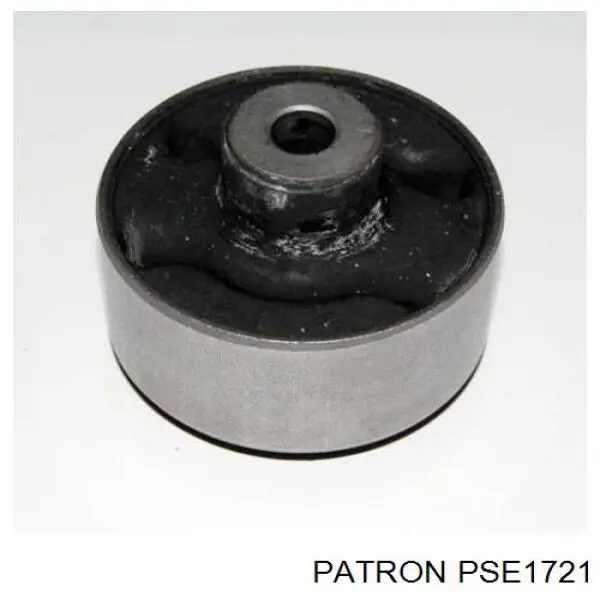 Сайлентблок заднього поздовжнього нижнього важеля RXD3821 Caster