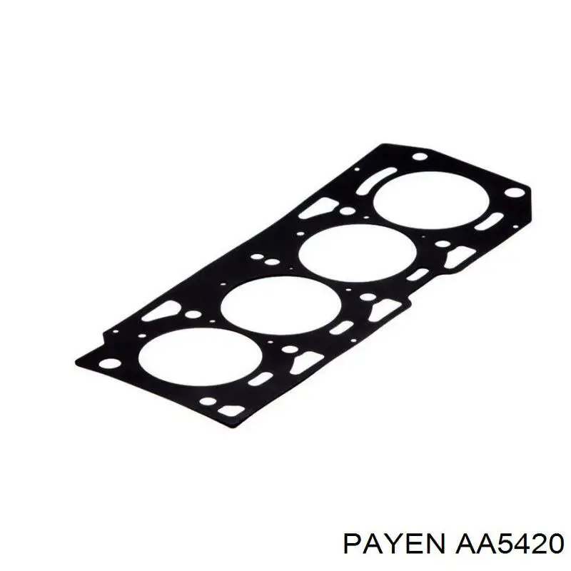 AA5420 Payen прокладка головки блока циліндрів (гбц)