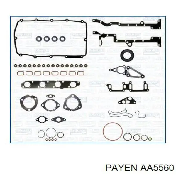 AA5560 Payen прокладка головки блока циліндрів (гбц)