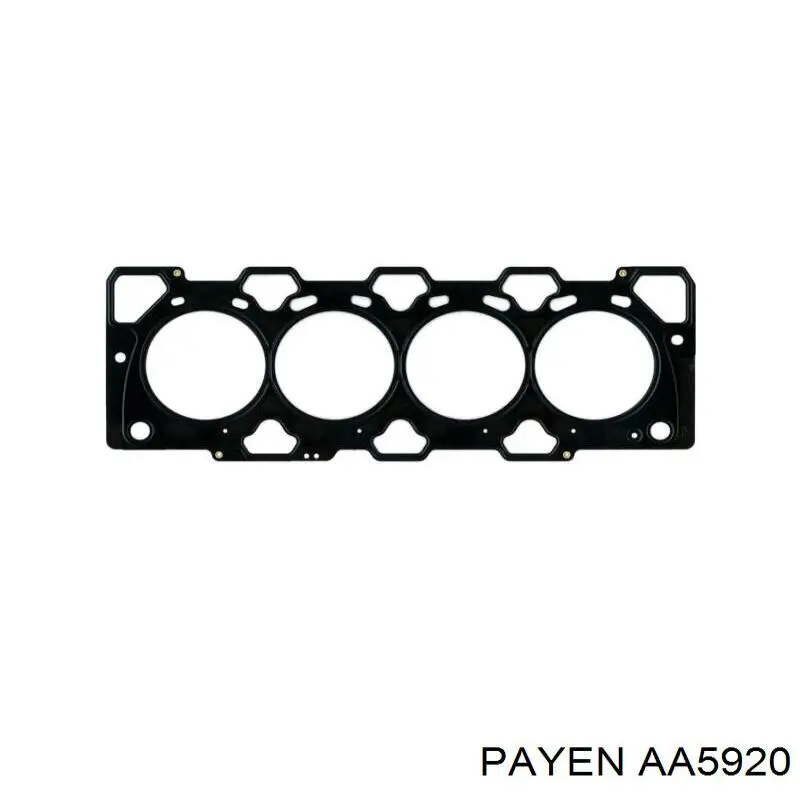 AA5920 Payen прокладка головки блока циліндрів (гбц)