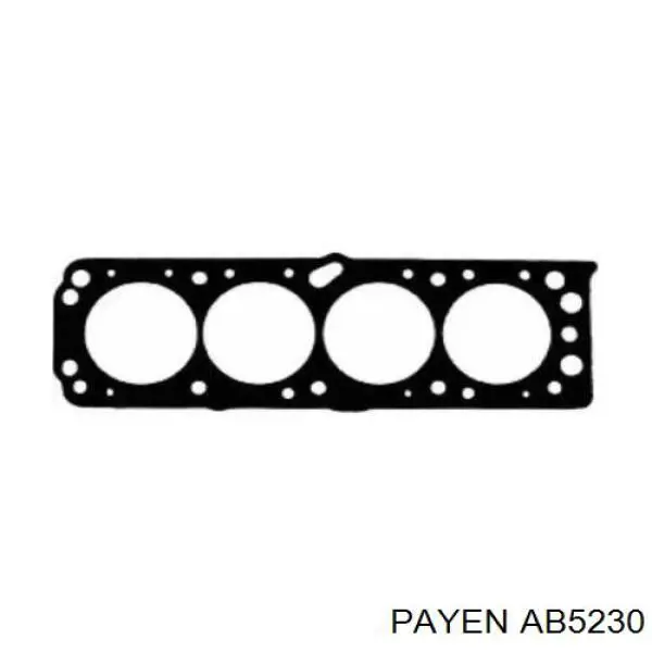 AB5230 Payen прокладка головки блока циліндрів (гбц)
