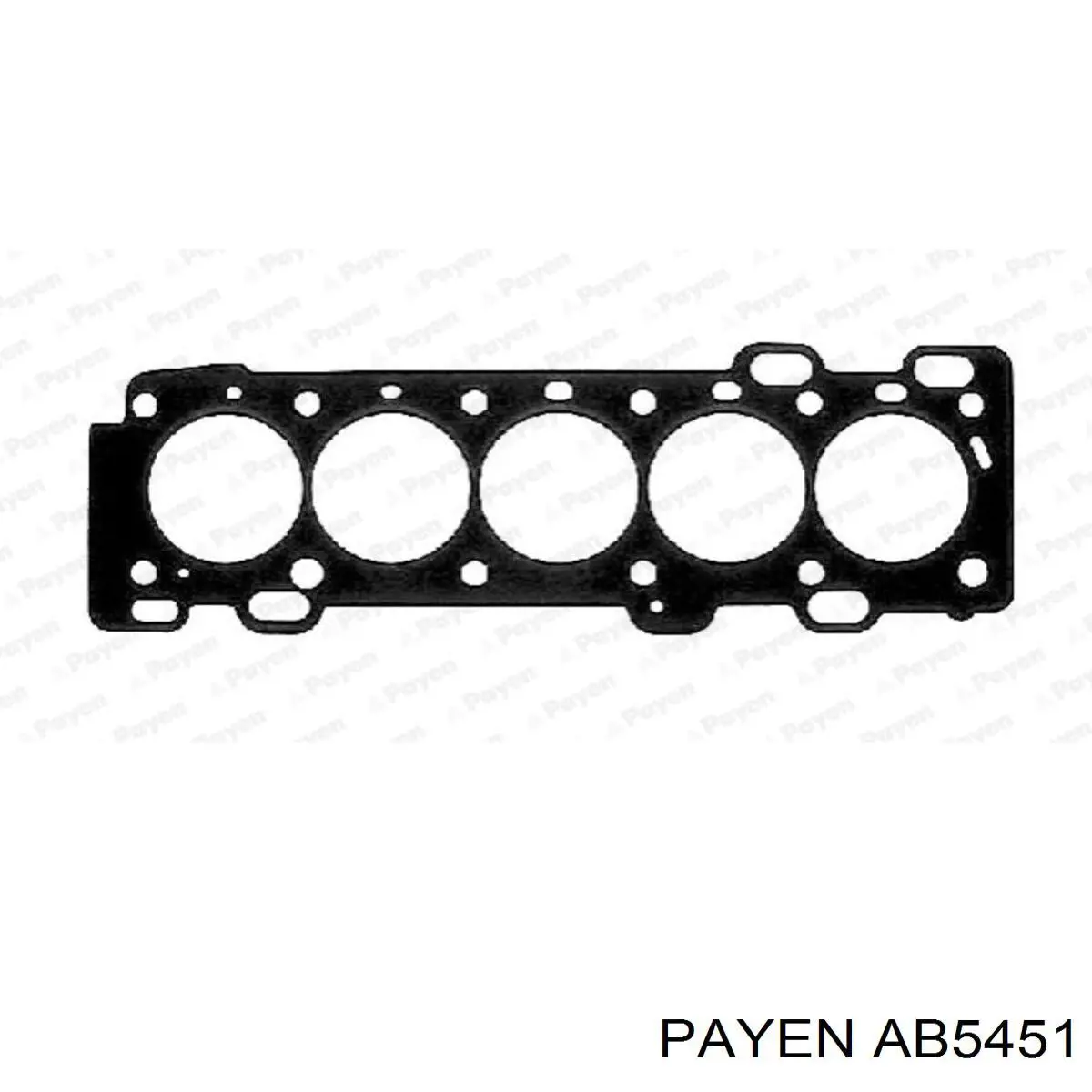 AB5451 Payen прокладка головки блока циліндрів (гбц)