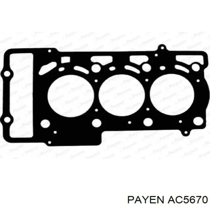 AC5670 Payen прокладка головки блока циліндрів (гбц)