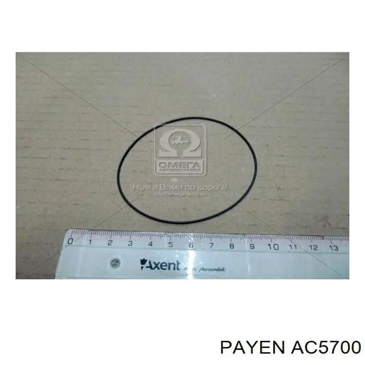 AC5700 Payen прокладка головки блока циліндрів (гбц)