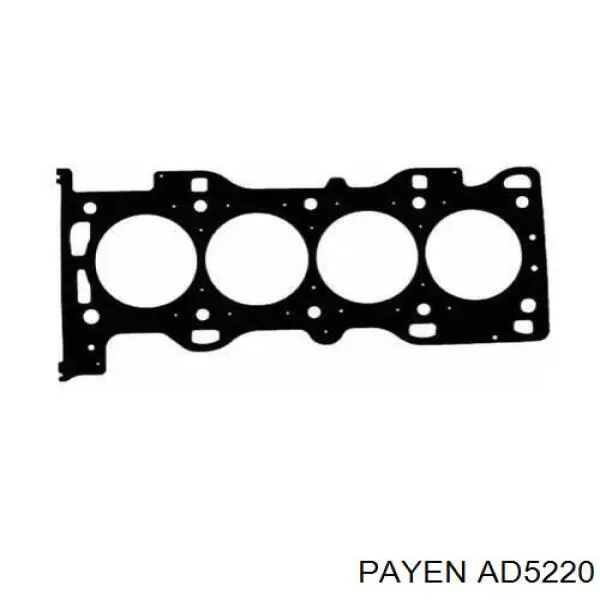 AD5220 Payen прокладка головки блока циліндрів (гбц)