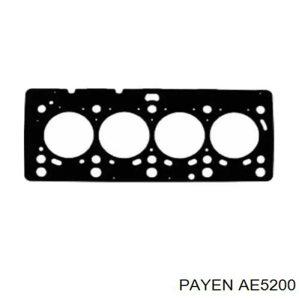 AE5200 Payen прокладка головки блока циліндрів (гбц)