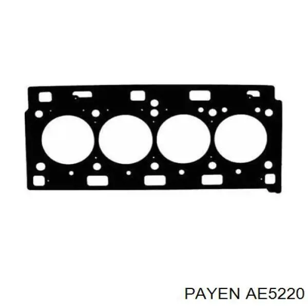 AE5220 Payen прокладка головки блока циліндрів (гбц)
