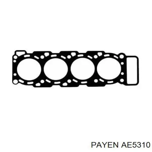 AE5310 Payen прокладка головки блока циліндрів (гбц)
