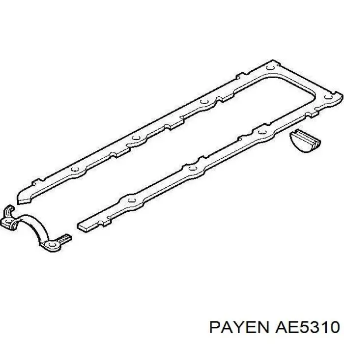 Купити AE5310 Payen Прокладка ГБЦ