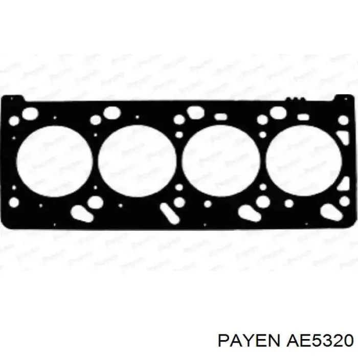 Купити AE5320 Payen Прокладка ГБЦ