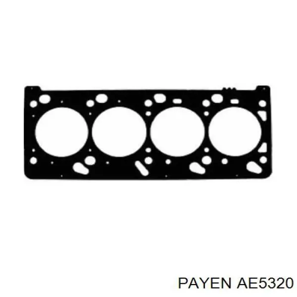 AE5320 Payen прокладка головки блока циліндрів (гбц)