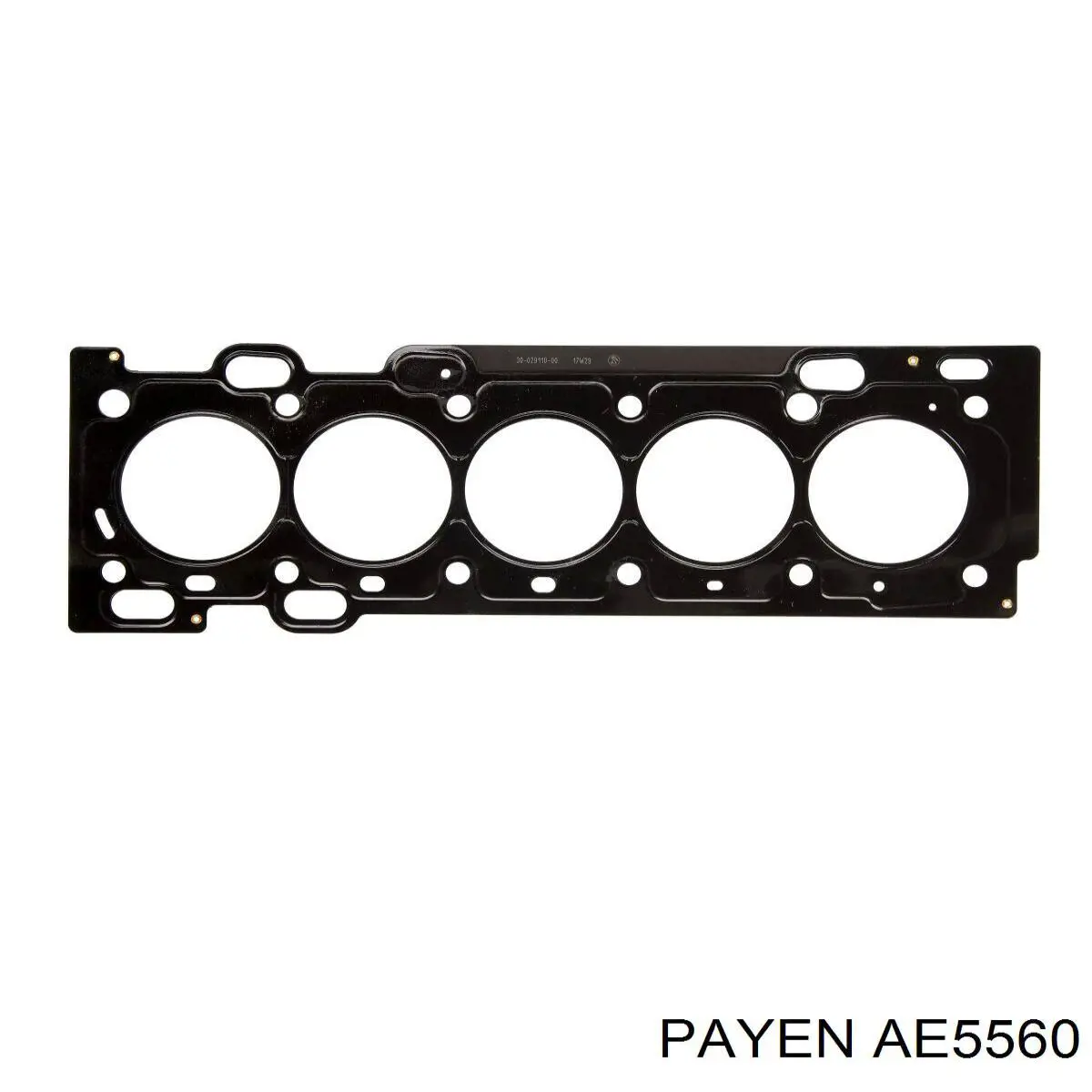AE5560 Payen прокладка головки блока циліндрів (гбц)