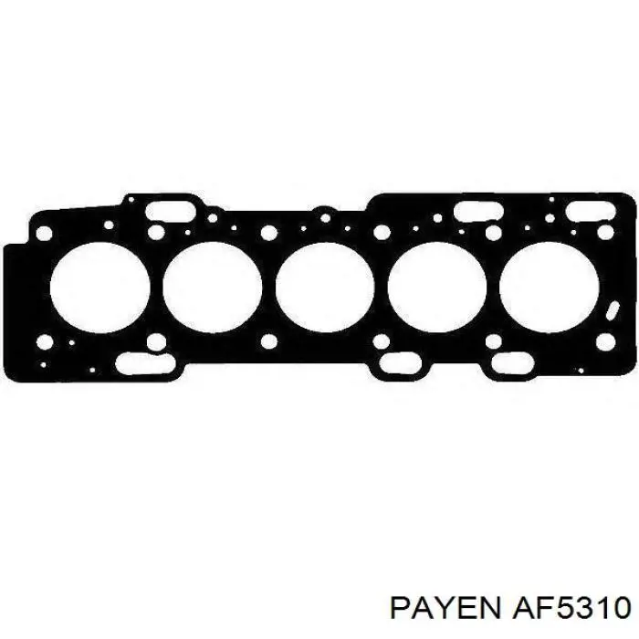 AF5310 Payen прокладка головки блока циліндрів (гбц)