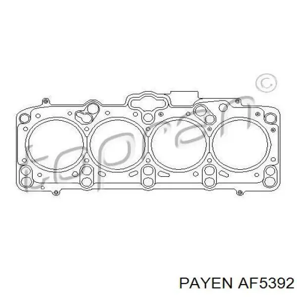 AF5392 Payen прокладка головки блока циліндрів (гбц)